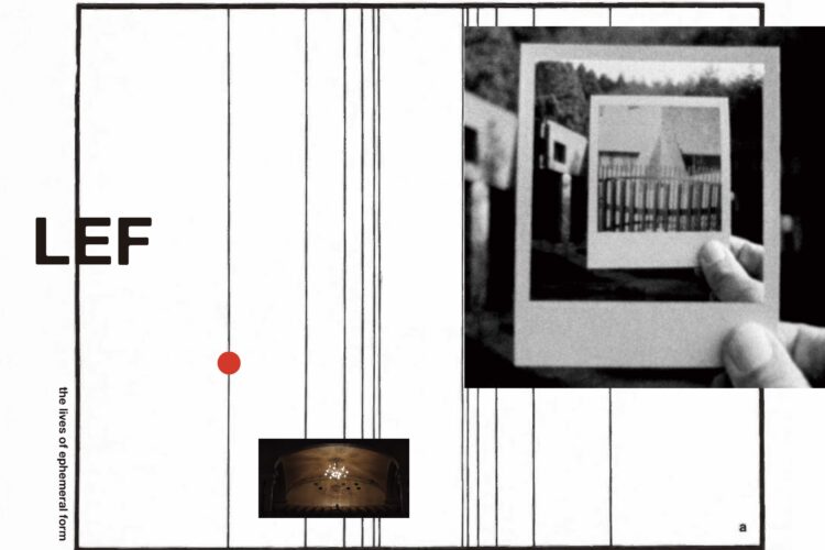 the lives of ephemeral form